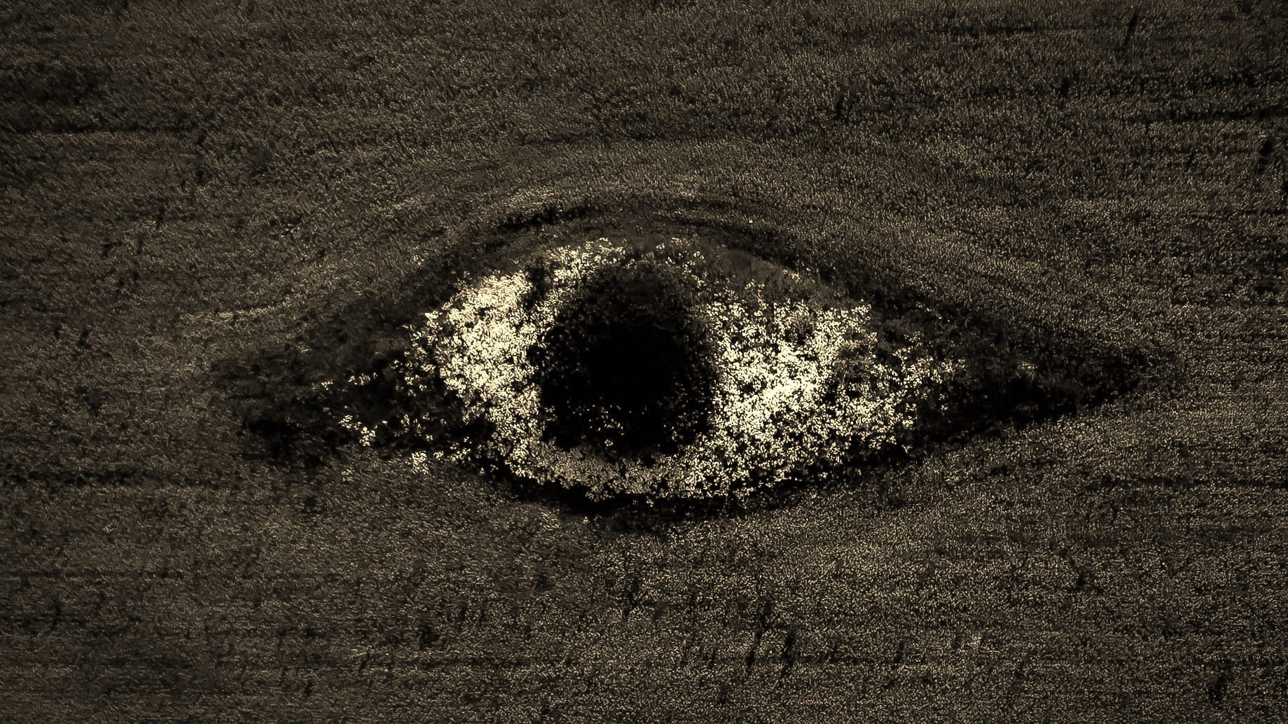 El origen de OjoVoraz